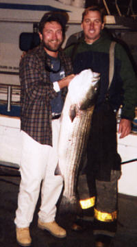 striper1