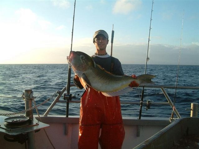 tommytilefish